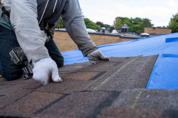 Professional Roofing services in Vienna, GA