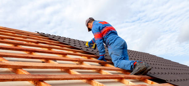 Best Solar Panel Roofing Installation  in Vienna, GA