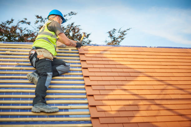 Best Metal Roofing Installation  in Vienna, GA